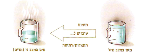 (בספר תרשים, היעזר במנחה)